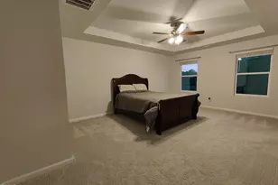 165 Spotted Bee Wy, Youngsville, NC 27596 - Photo 13