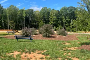 1341 Hammond Dr, Mebane, NC 27302 - Photo 21