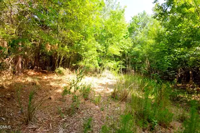 3 Bowden Road, Turkey, NC 28393 - Photo 33