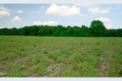 3 Bowden Road, Turkey, NC 28393 - Photo 29