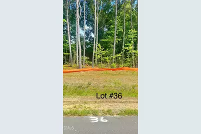 253 Galway Road, Lillington, NC 27546 - Photo 3