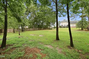42 Sonora Dr, Lillington, NC 27546 - Photo 43