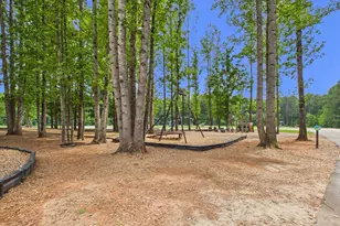 3005 Egert Dr, Haw River, NC 27258 - Photo 39