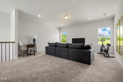 168 E American Marigold Drive, Benson, NC 27504 - Photo 29