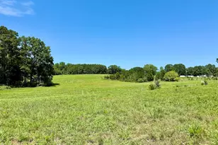 8341 Riley Hill Rd, Zebulon, NC 27597 - Photo 37