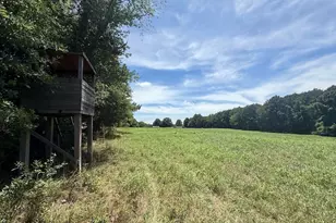 8341 Riley Hill Rd, Zebulon, NC 27597 - Photo 33