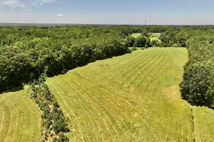 8341 Riley Hill Rd, Zebulon, NC 27597 - Photo 5