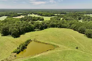 8341 Riley Hill Rd, Zebulon, NC 27597 - Photo 13