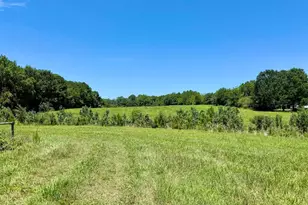 8341 Riley Hill Rd, Zebulon, NC 27597 - Photo 29