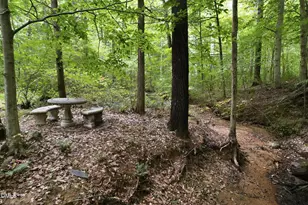 1001 Reaves Dr, Chapel Hill, NC 27516 - Photo 47