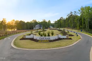 758 Mollie Mdw Dr, Zebulon, NC 27597 - Photo 19
