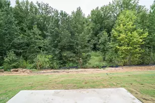 116 Beadwood St, Wendell, NC 27591 - Photo 5