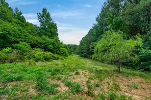 2552 Person Rd, Louisburg, NC 27549 - Photo 65