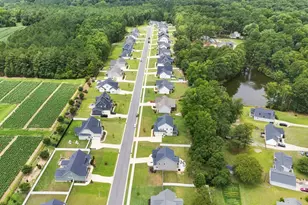 318 Lambert Ln, Fuquay Varina, NC 27526 - Photo 49