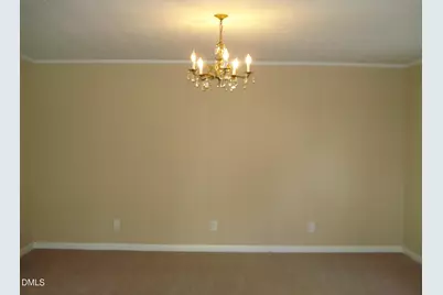 3900 N Spring Branch Road, Plain View, NC 28334 - Photo 9