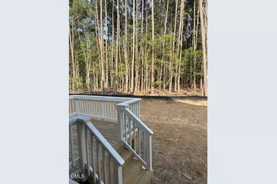 135 Black Bear Court, Chapel Hill, NC 27516 - Photo 19