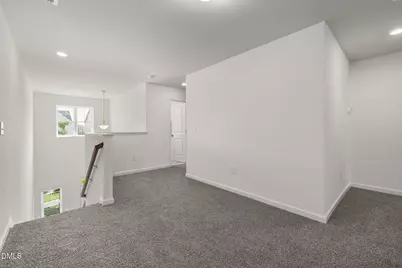 905 Holly Bluff Lane, Durham, NC 27713 - Photo 27
