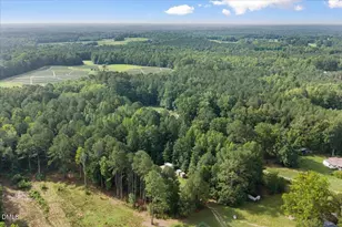 3518 E Thollie Green Rd, Stem, NC 27581 - Photo 31