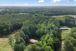 3518 E Thollie Green Rd, Stem, NC 27581 - Photo 33