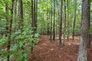3637 Ashton Glen Ln, Oxford, NC 27565 - Photo 47