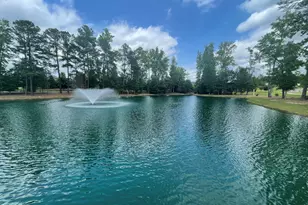 2442 Whitewing Ln, Wendell, NC 27591 - Photo 23