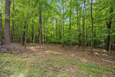 Lot 8 Stallings Road, Spring Hope, NC 27882 - Photo 5