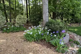 5600 Merion Station Dr, Apex, NC 27539 - Photo 41