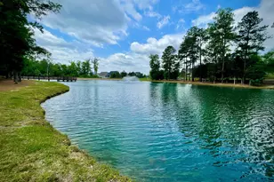 1345 Barreto Dr, Wendell, NC 27591 - Photo 21