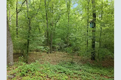 612 Cedar Brook Way, Chapel Hill, NC 27516 - Photo 45