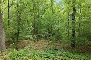 612 Cedar Brook Way, Chapel Hill, NC 27516 - Photo 45