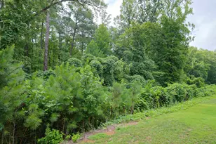 918 E Green St, Franklinton, NC 27525 - Photo 27