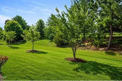 93 Abercorn Circle, Chapel Hill, NC 27516 - Photo 27