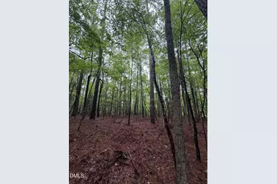 Lot 5 Claude Lewis Road, Middlesex, NC 27557 - Photo 13