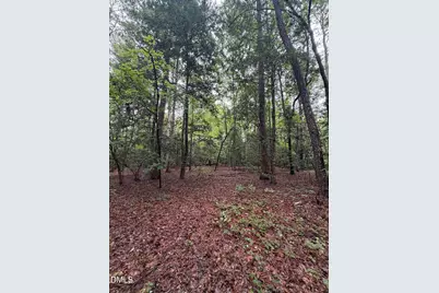 Lot 5 Claude Lewis Road, Middlesex, NC 27557 - Photo 11
