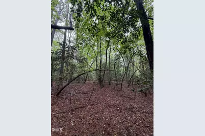 Lot 5 Claude Lewis Road, Middlesex, NC 27557 - Photo 7