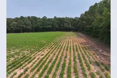 Lot 5 Claude Lewis Road, Middlesex, NC 27557 - Photo 5