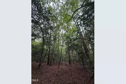 Lot 5 Claude Lewis Road, Middlesex, NC 27557 - Photo 9