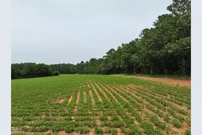 Lot 4 Claude Lewis Road, Middlesex, NC 27557 - Photo 11