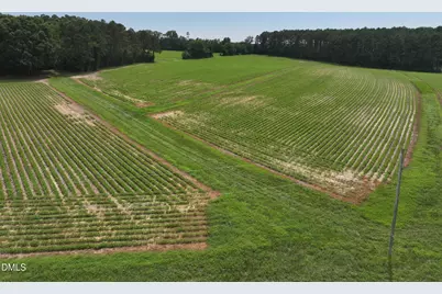 Lot 3 Claude Lewis Road, Middlesex, NC 27557 - Photo 3