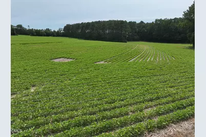 Lot 3 Claude Lewis Road, Middlesex, NC 27557 - Photo 5