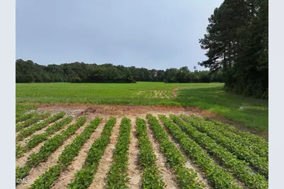 Lot 3 Claude Lewis Road, Middlesex, NC 27557 - Photo 7
