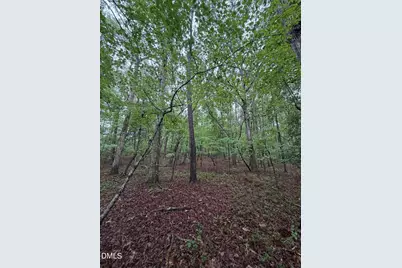 Lot 2 Claude Lewis Road, Middlesex, NC 27557 - Photo 5