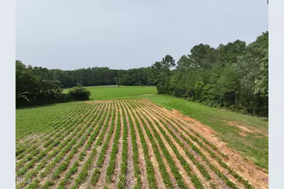 Lot 2 Claude Lewis Road, Middlesex, NC 27557 - Photo 15