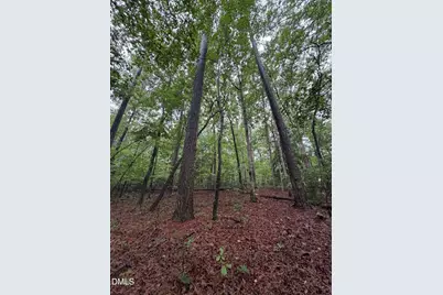 Lot 1 Claude Lewis Road, Middlesex, NC 27557 - Photo 11
