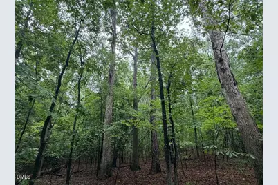Lot 1 Claude Lewis Road, Middlesex, NC 27557 - Photo 13
