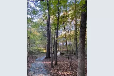 4200 Henderson Place, Pittsboro, NC 27312 - Photo 67