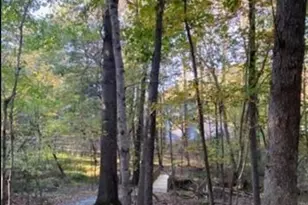 4200 Henderson Pl, Pittsboro, NC 27312 - Photo 67
