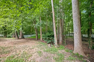 406 Cricketfield Ln, Cary, NC 27518 - Photo 59