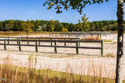 116 Sweetbay Tree Drive, Wendell, NC 27591 - Photo 39