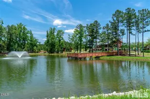 265 Tumbling River Dr, Wendell, NC 27591 - Photo 47
